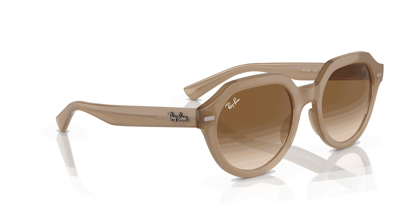 [Brown Lenses, Polished Turtledove Frame]
