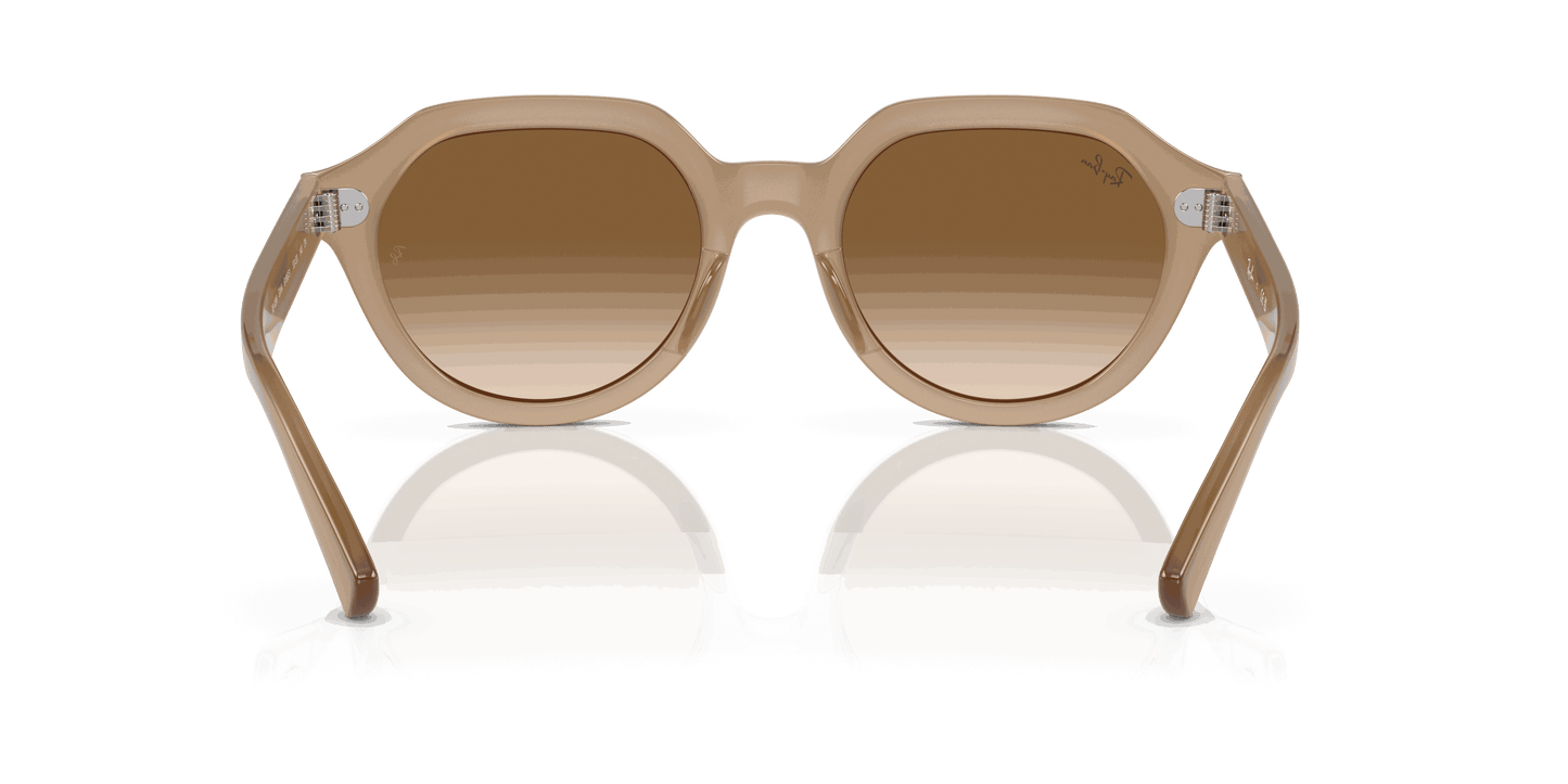 [Brown Lenses, Polished Turtledove Frame]