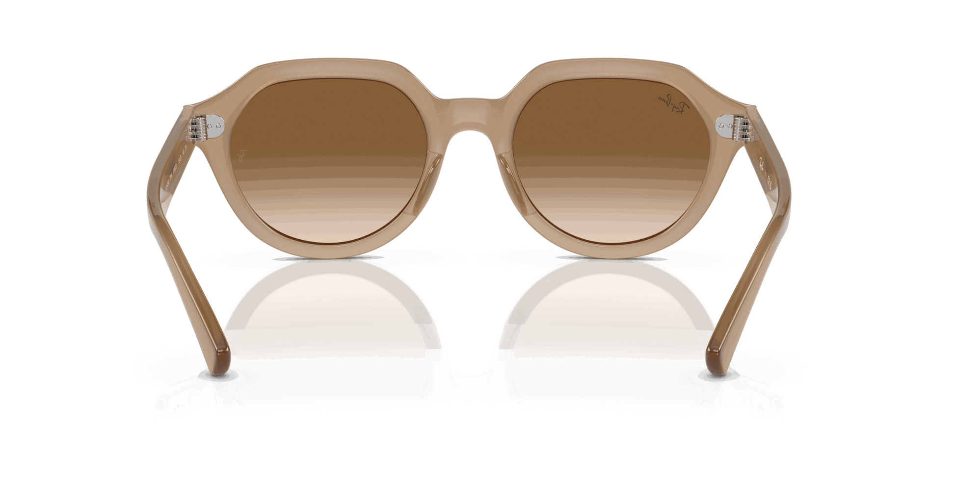 [Brown Lenses, Polished Turtledove Frame]