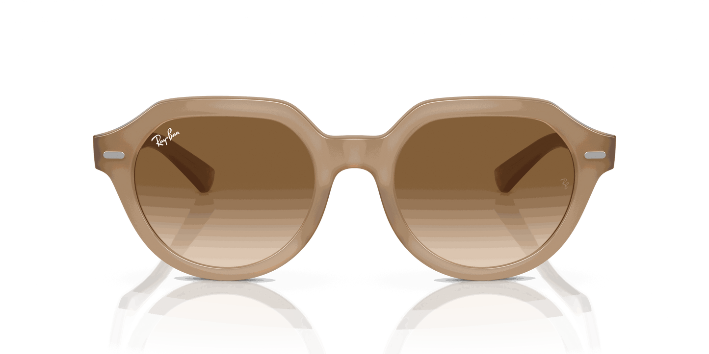 [Brown Lenses, Polished Turtledove Frame]