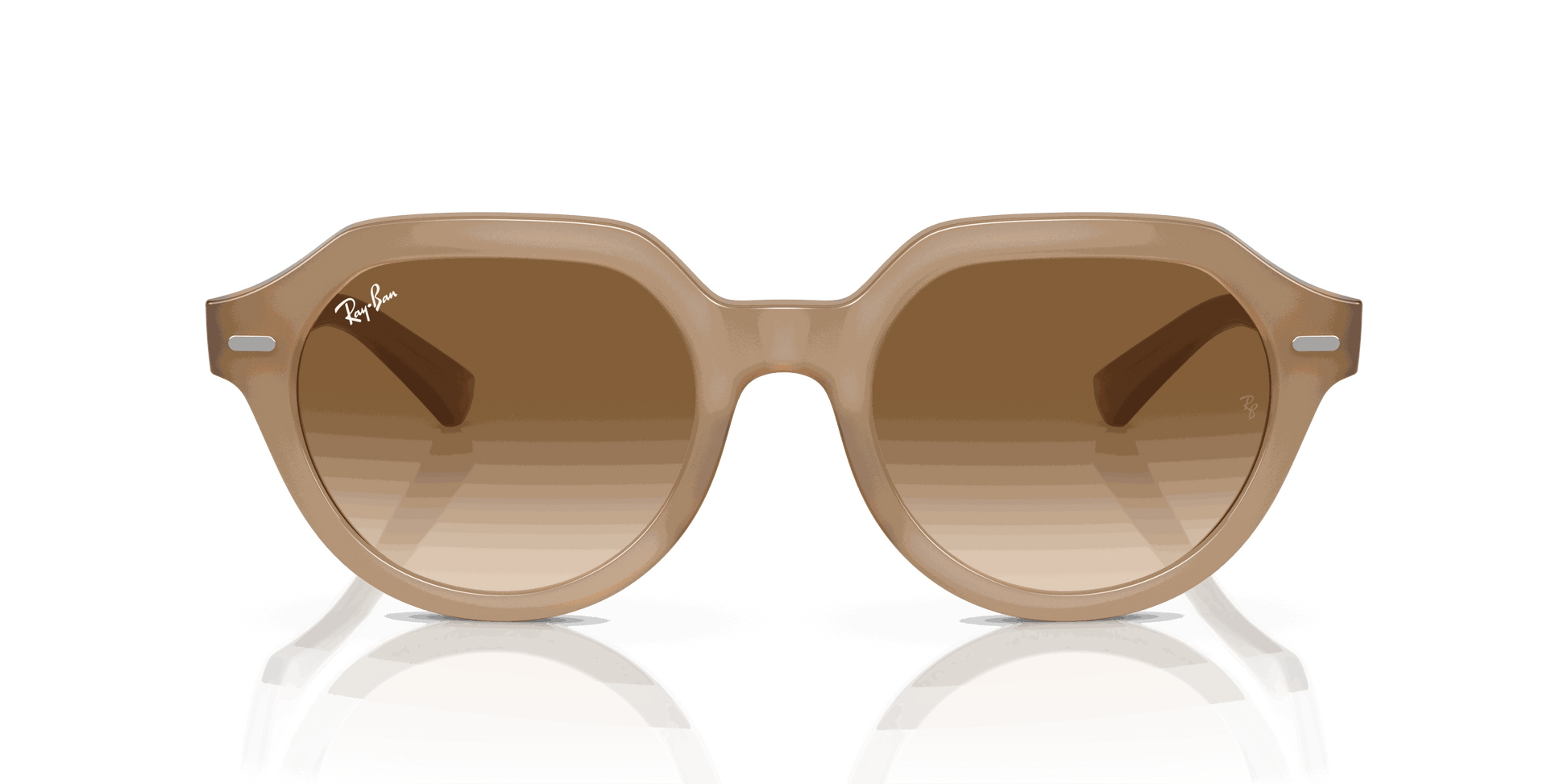 [Brown Lenses, Polished Turtledove Frame]