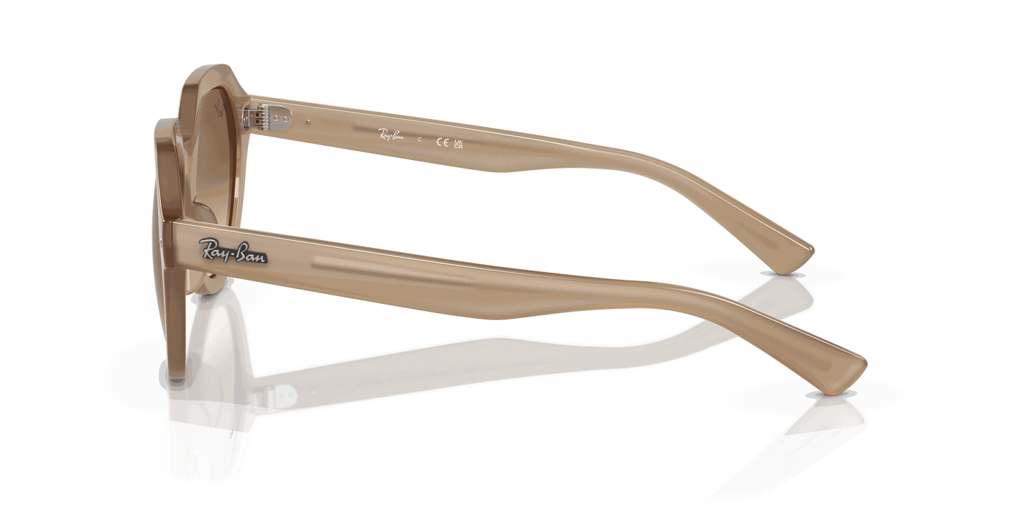 [Brown Lenses, Polished Turtledove Frame]