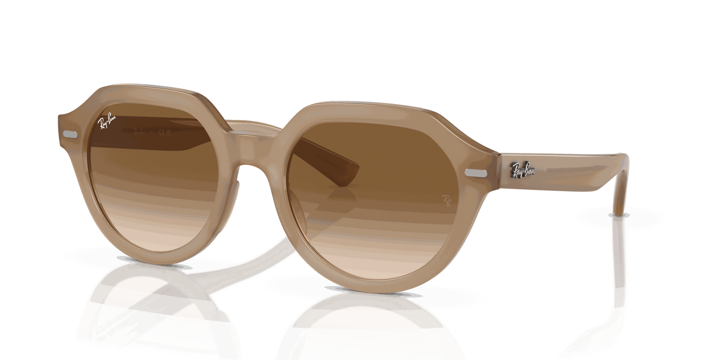 [Brown Lenses, Polished Turtledove Frame]