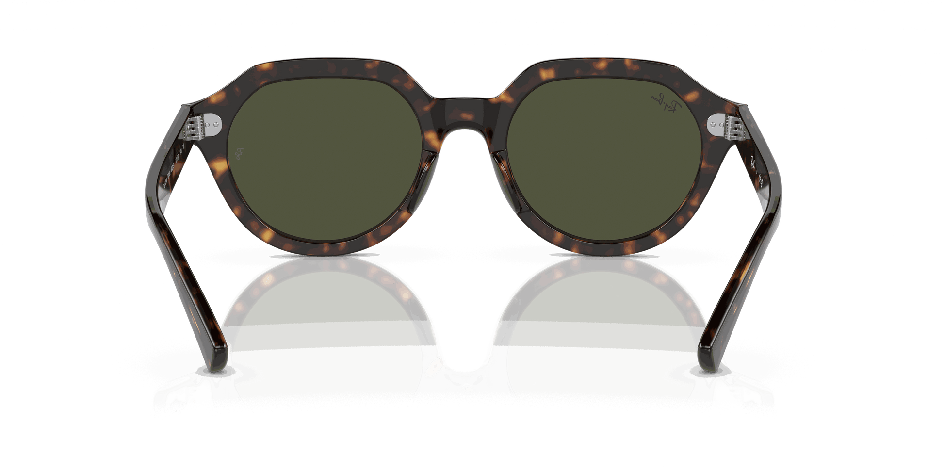 [Green Lenses, Polished Havana Frame]