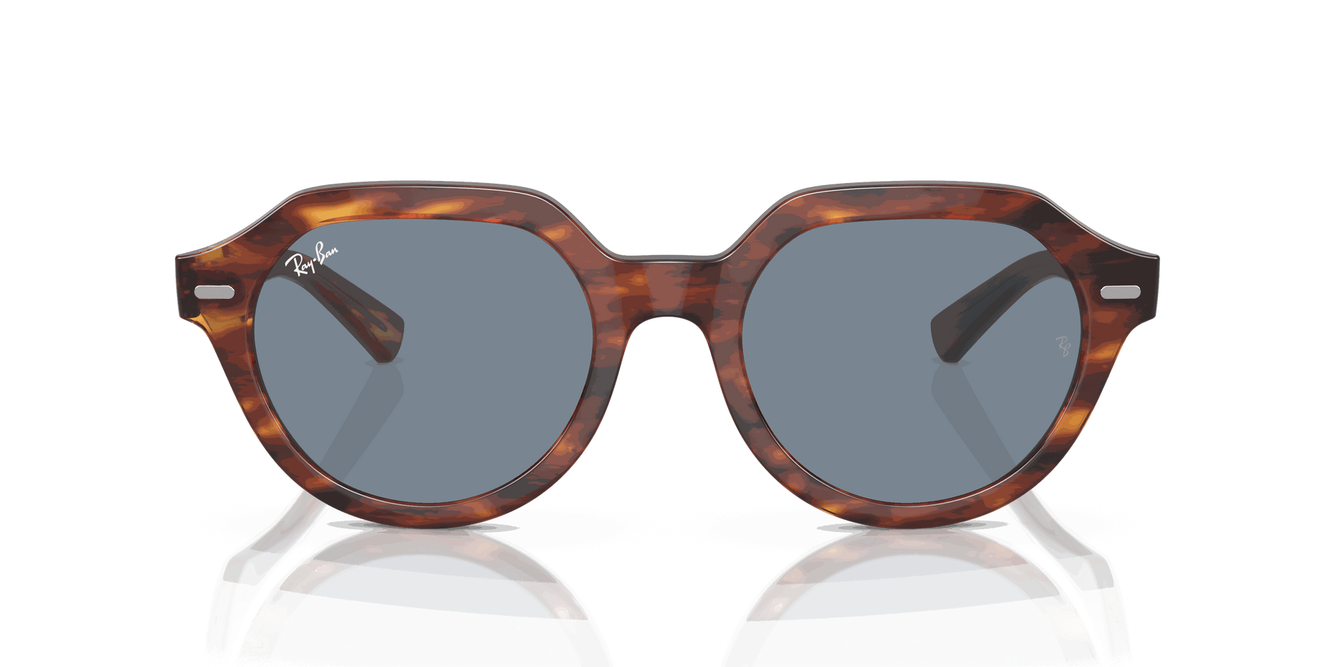 [Blue Lenses, Polished Striped Havana Frame]