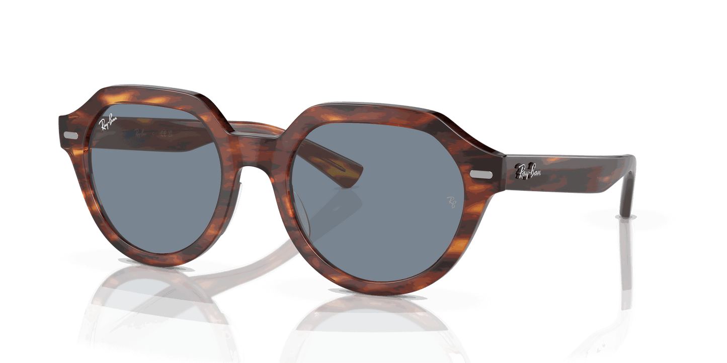 [Blue Lenses, Polished Striped Havana Frame]