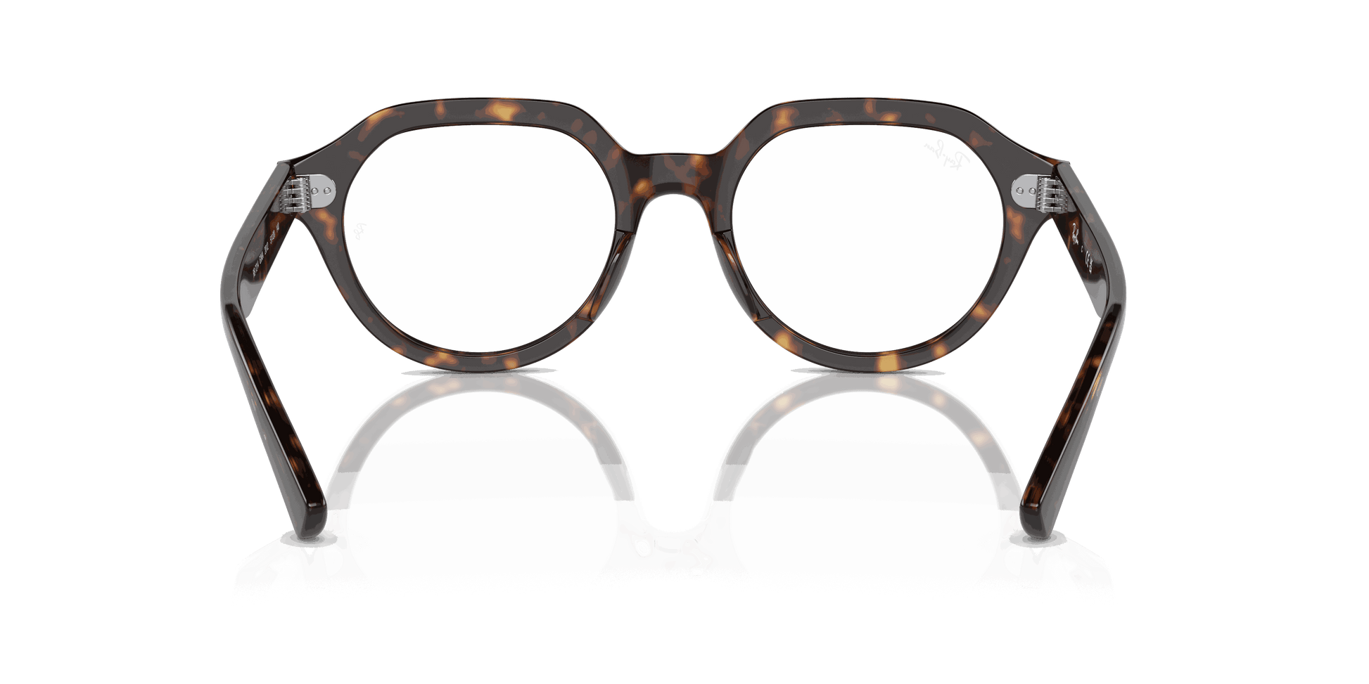 [Clear Lenses, Polished Havana Frame]