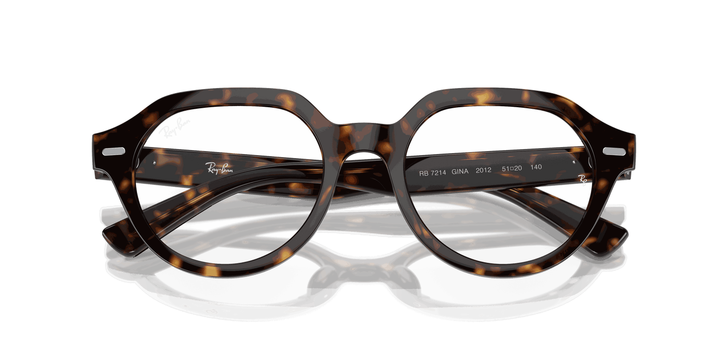 [Clear Lenses, Polished Havana Frame]