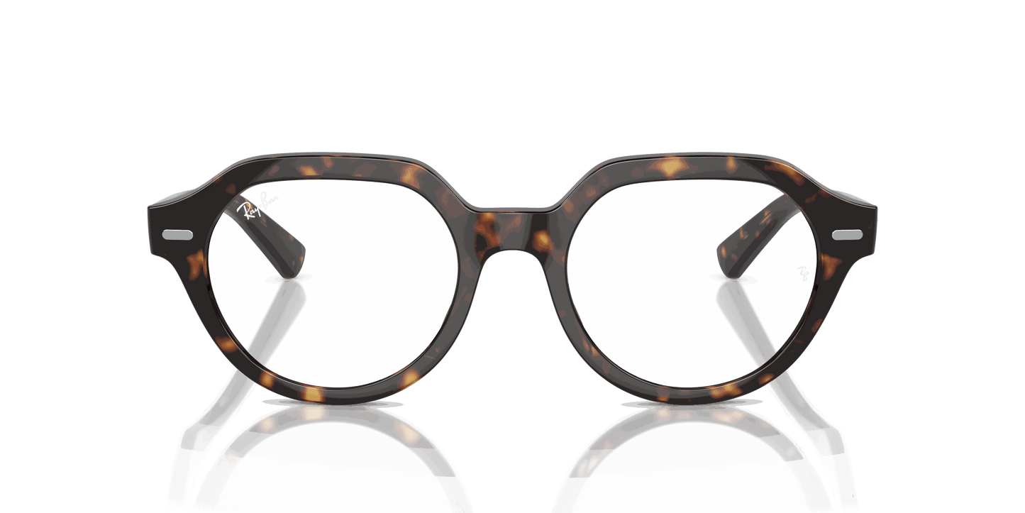 [Clear Lenses, Polished Havana Frame]