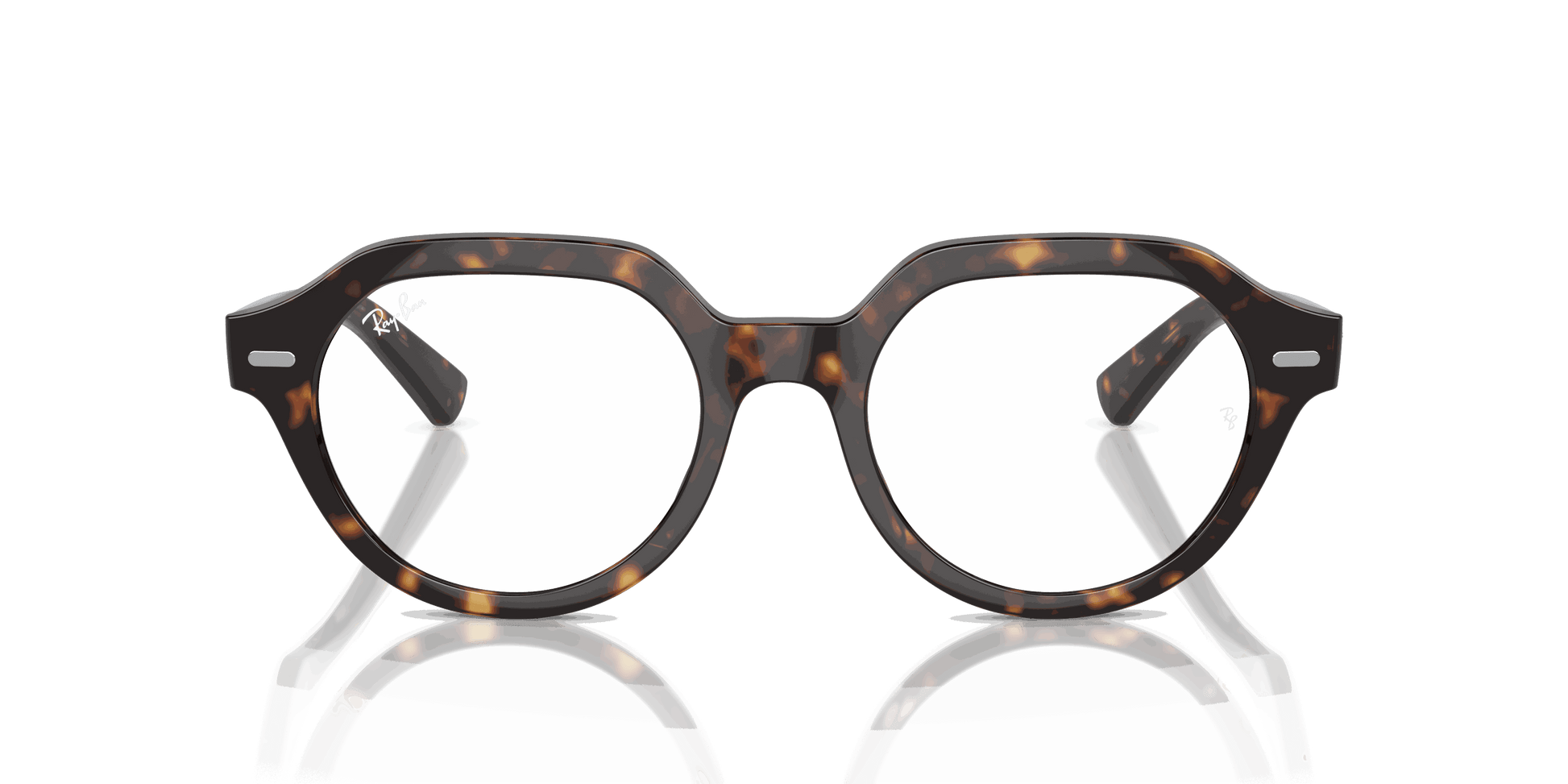 [Clear Lenses, Polished Havana Frame]