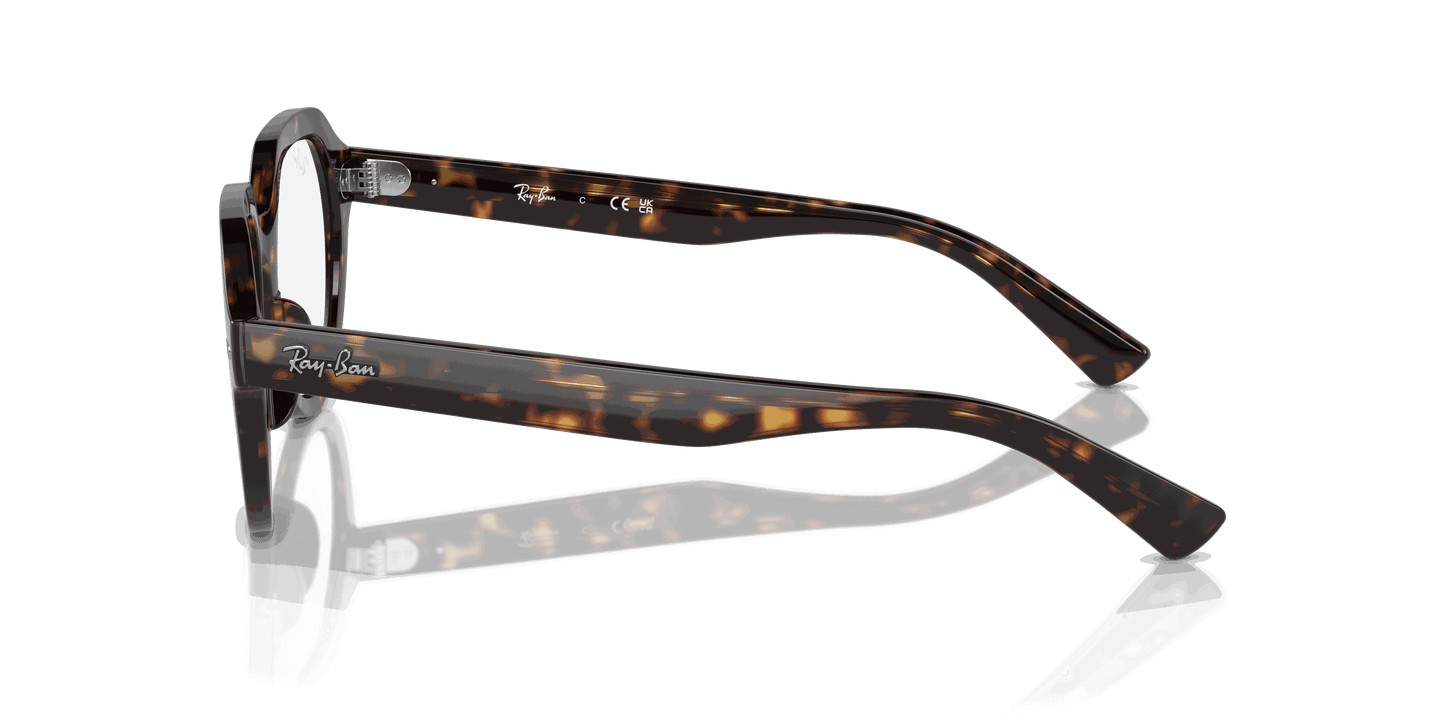 [Clear Lenses, Polished Havana Frame]