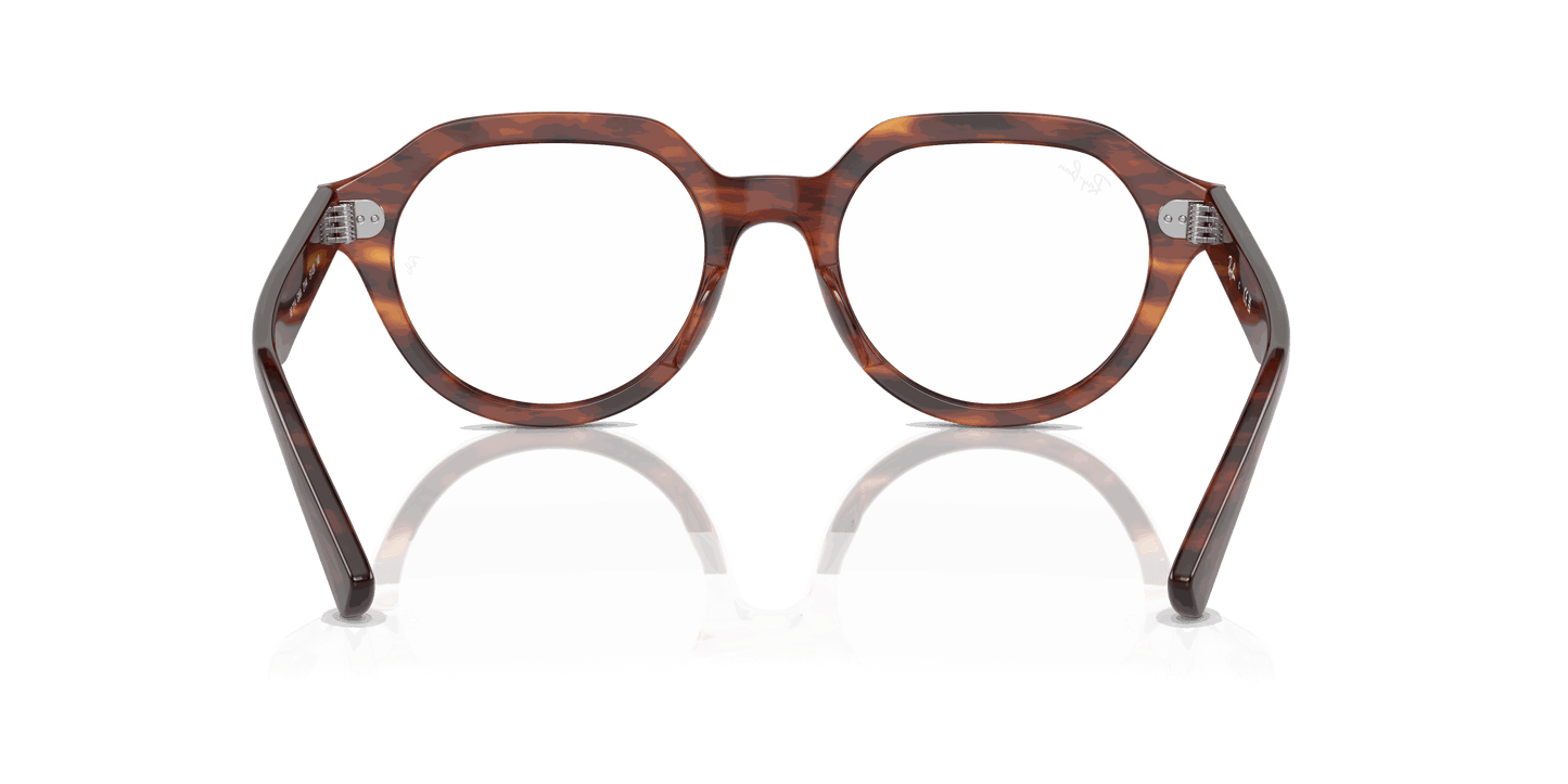 [Clear Lenses, Polished Striped Havana Frame]