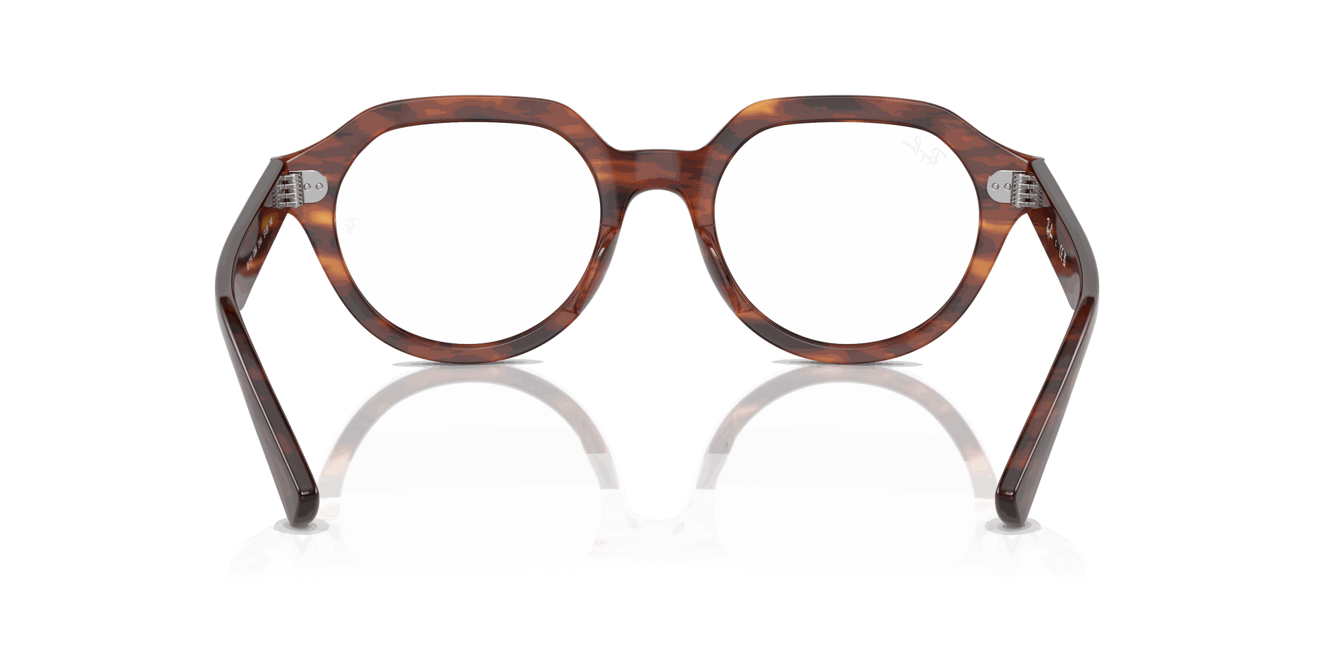 [Clear Lenses, Polished Striped Havana Frame]