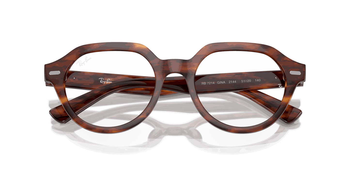 [Clear Lenses, Polished Striped Havana Frame]