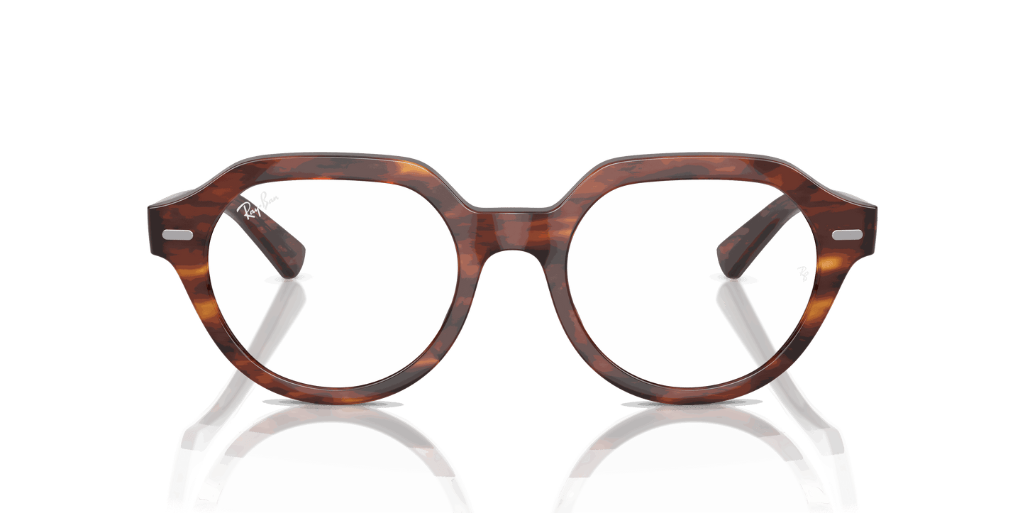 [Clear Lenses, Polished Striped Havana Frame]