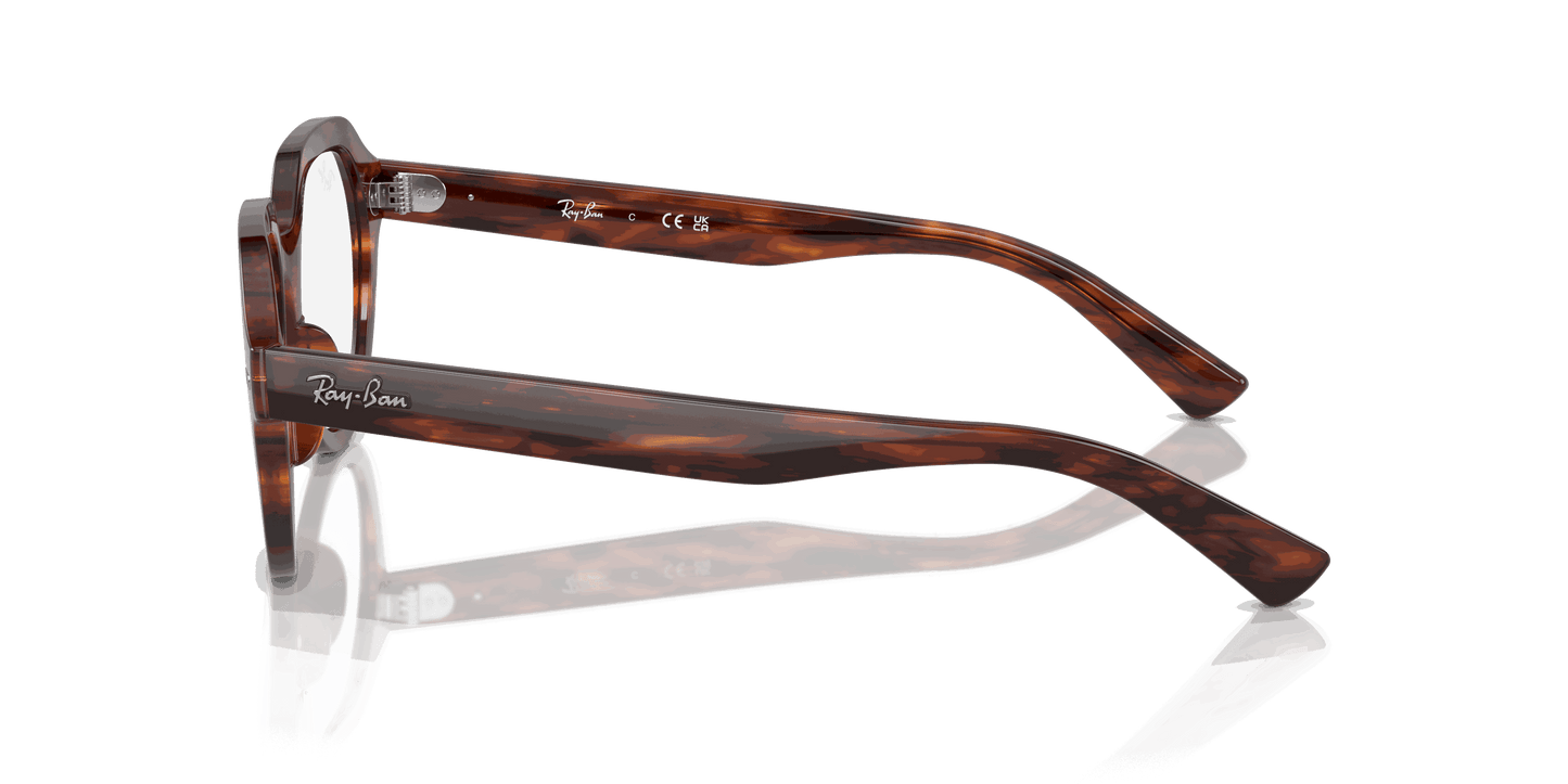 [Clear Lenses, Polished Striped Havana Frame]
