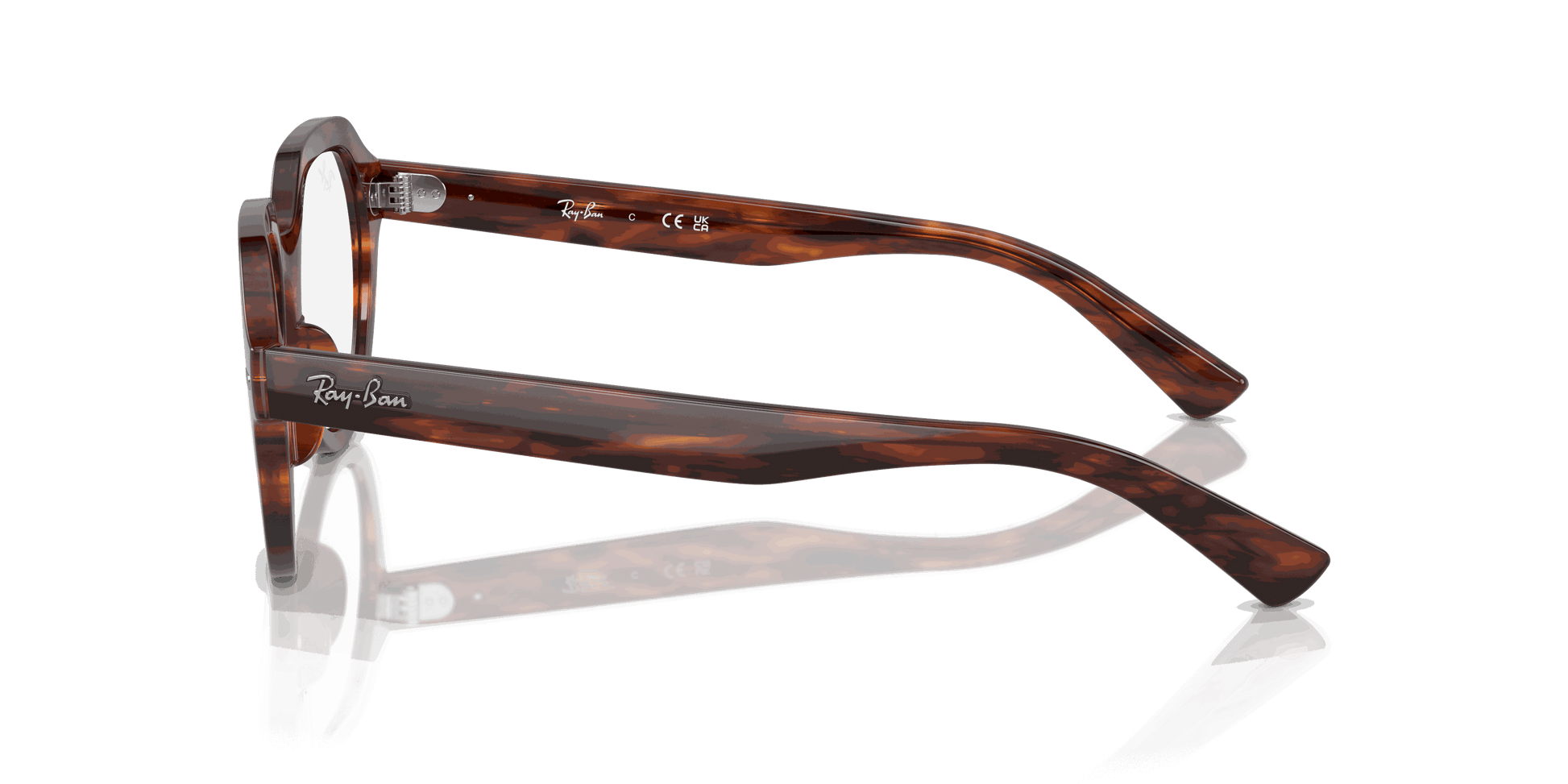 [Clear Lenses, Polished Striped Havana Frame]