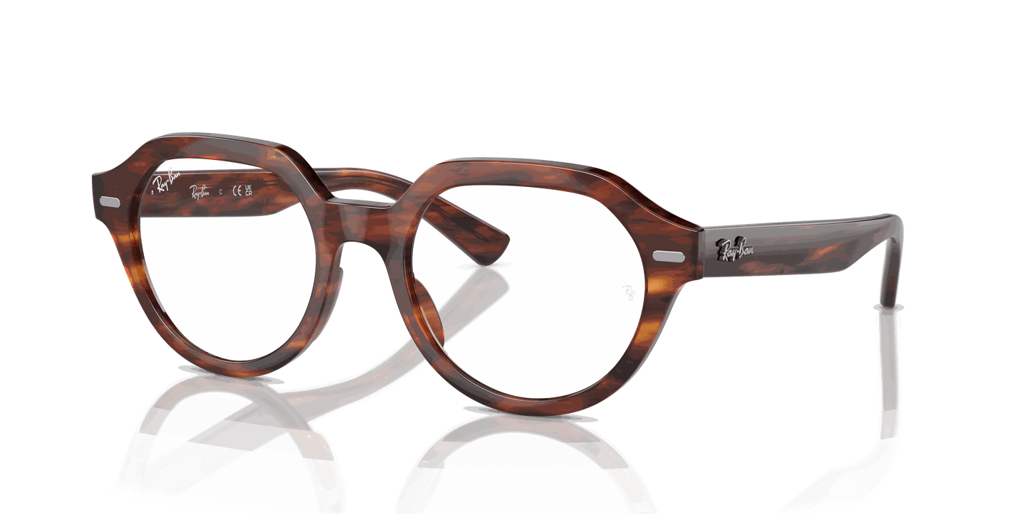 [Clear Lenses, Polished Striped Havana Frame]