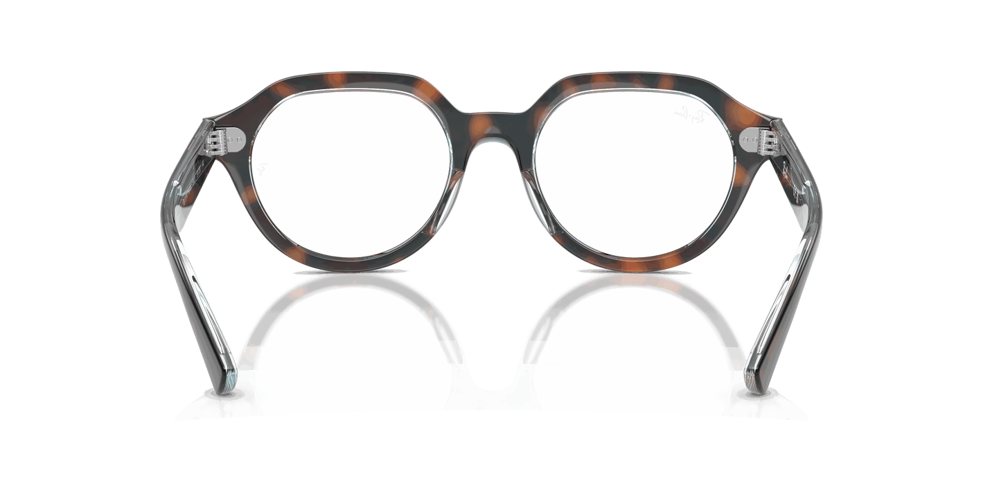 [Clear Lenses, Polished Dark Havana On Multicolor Frame]