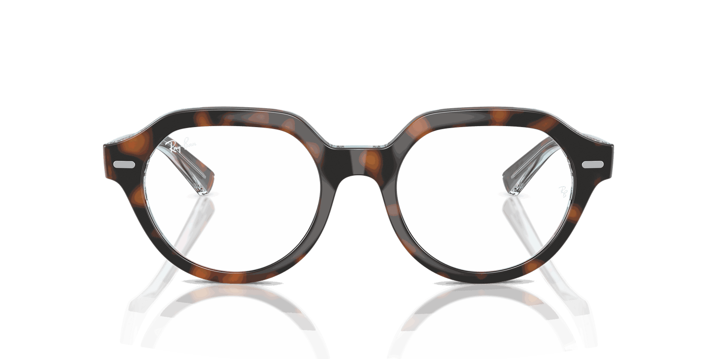 [Clear Lenses, Polished Dark Havana On Multicolor Frame]