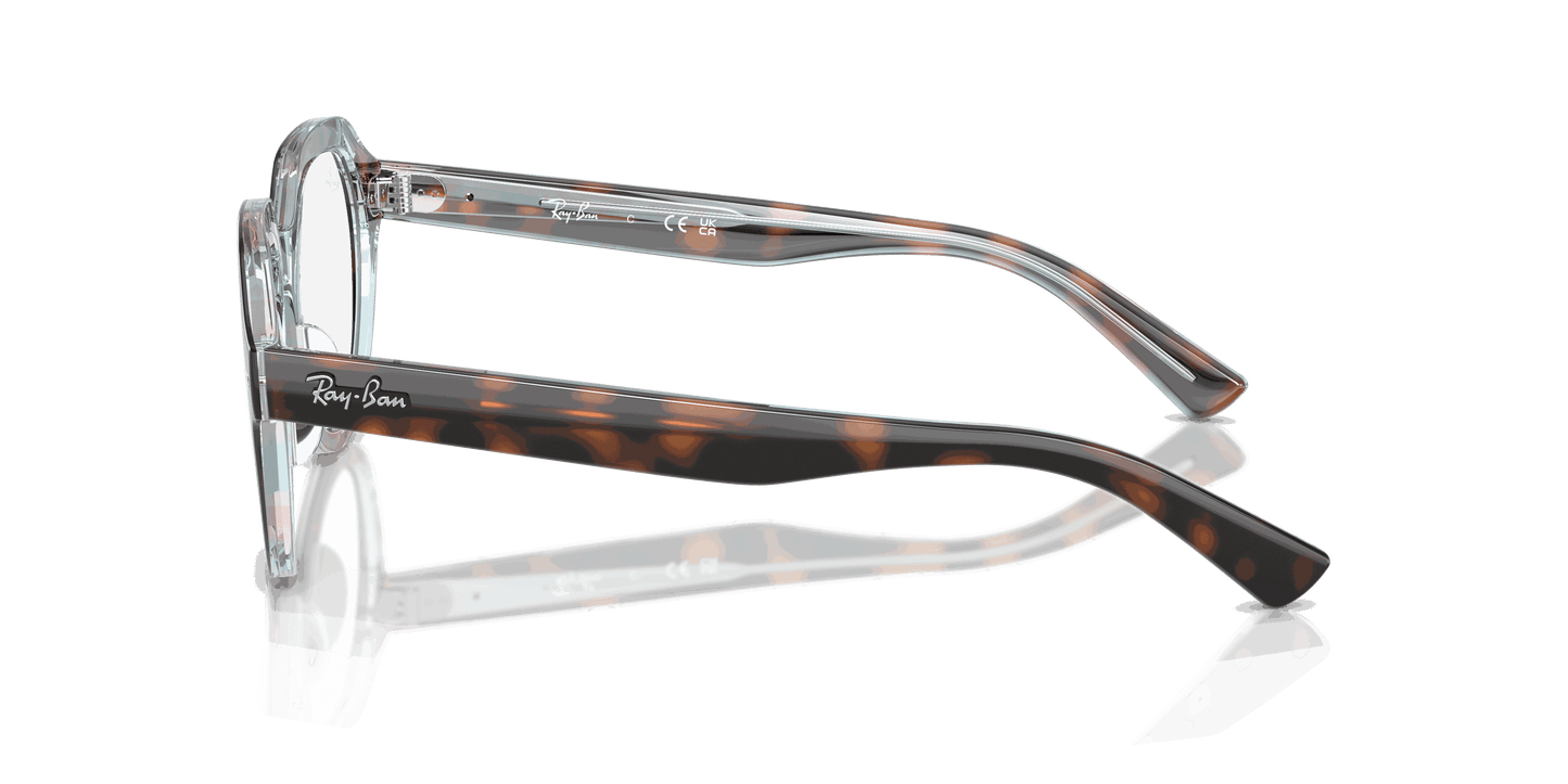 [Clear Lenses, Polished Dark Havana On Multicolor Frame]