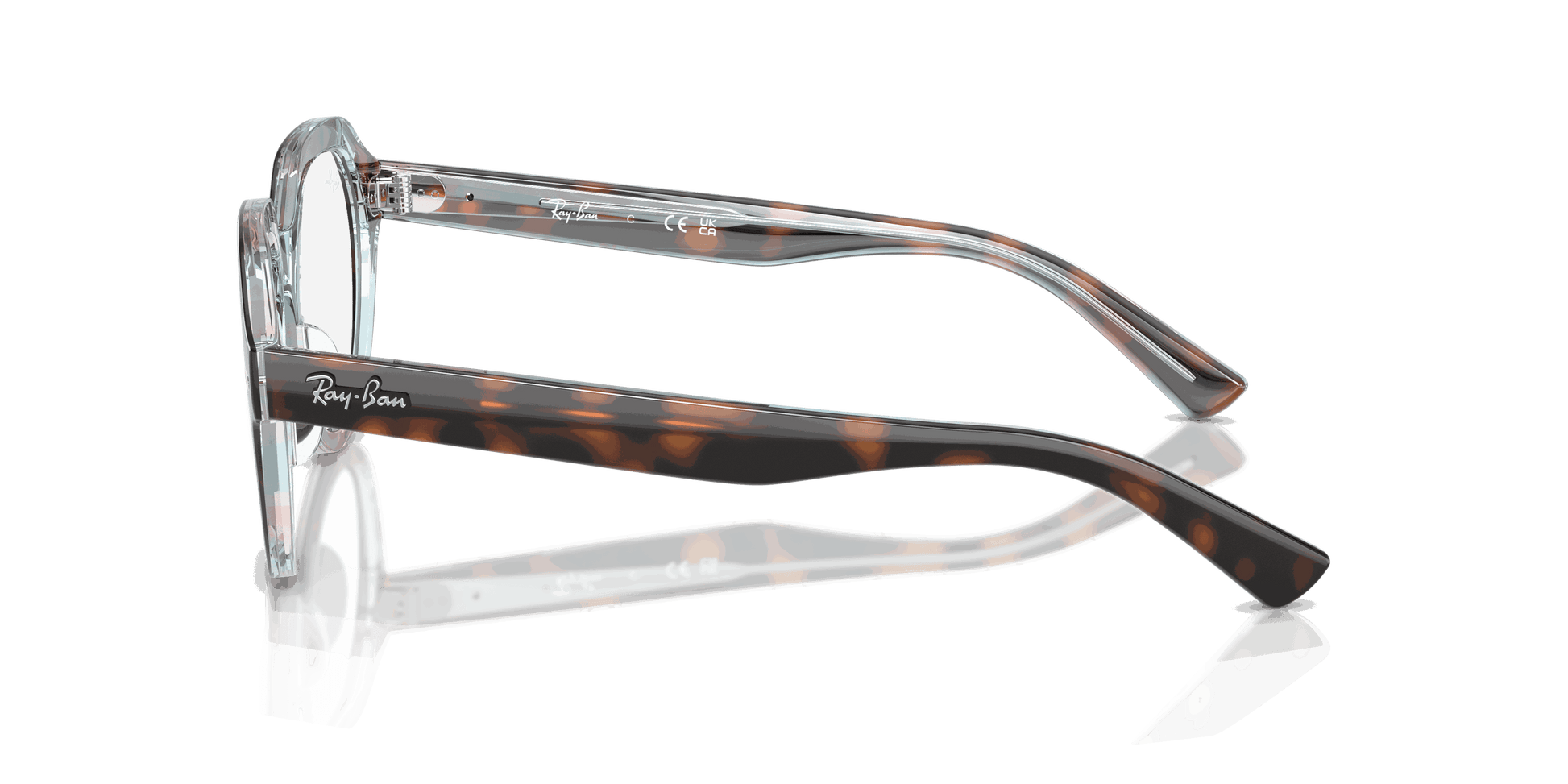 [Clear Lenses, Polished Dark Havana On Multicolor Frame]