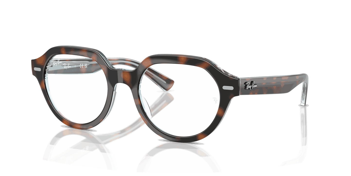 [Clear Lenses, Polished Dark Havana On Multicolor Frame]
