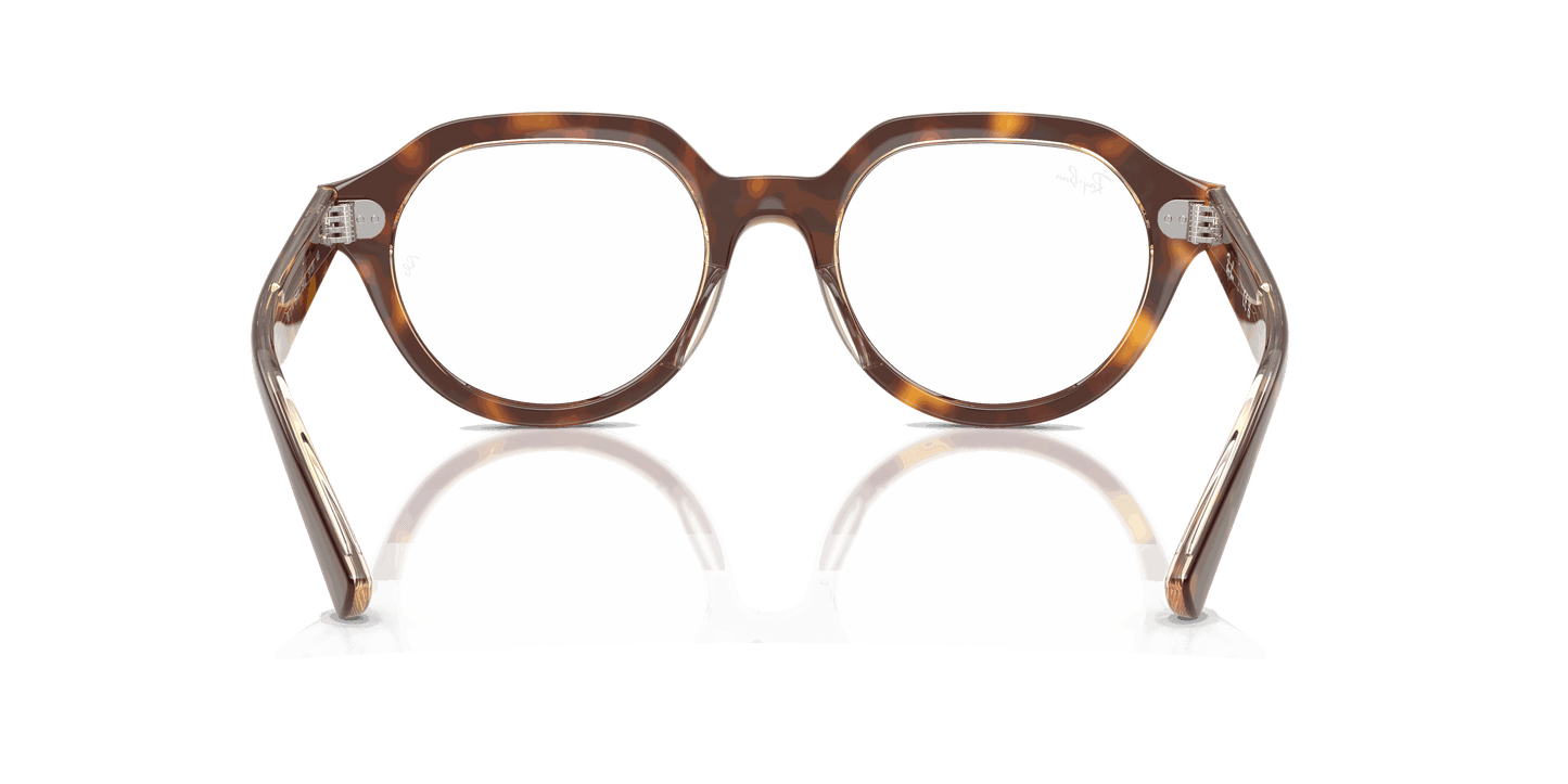 [Clear Lenses, Polished Light Havana On Multicolor Frame]