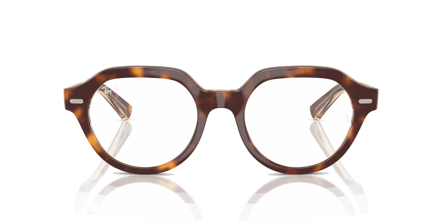 [Clear Lenses, Polished Light Havana On Multicolor Frame]