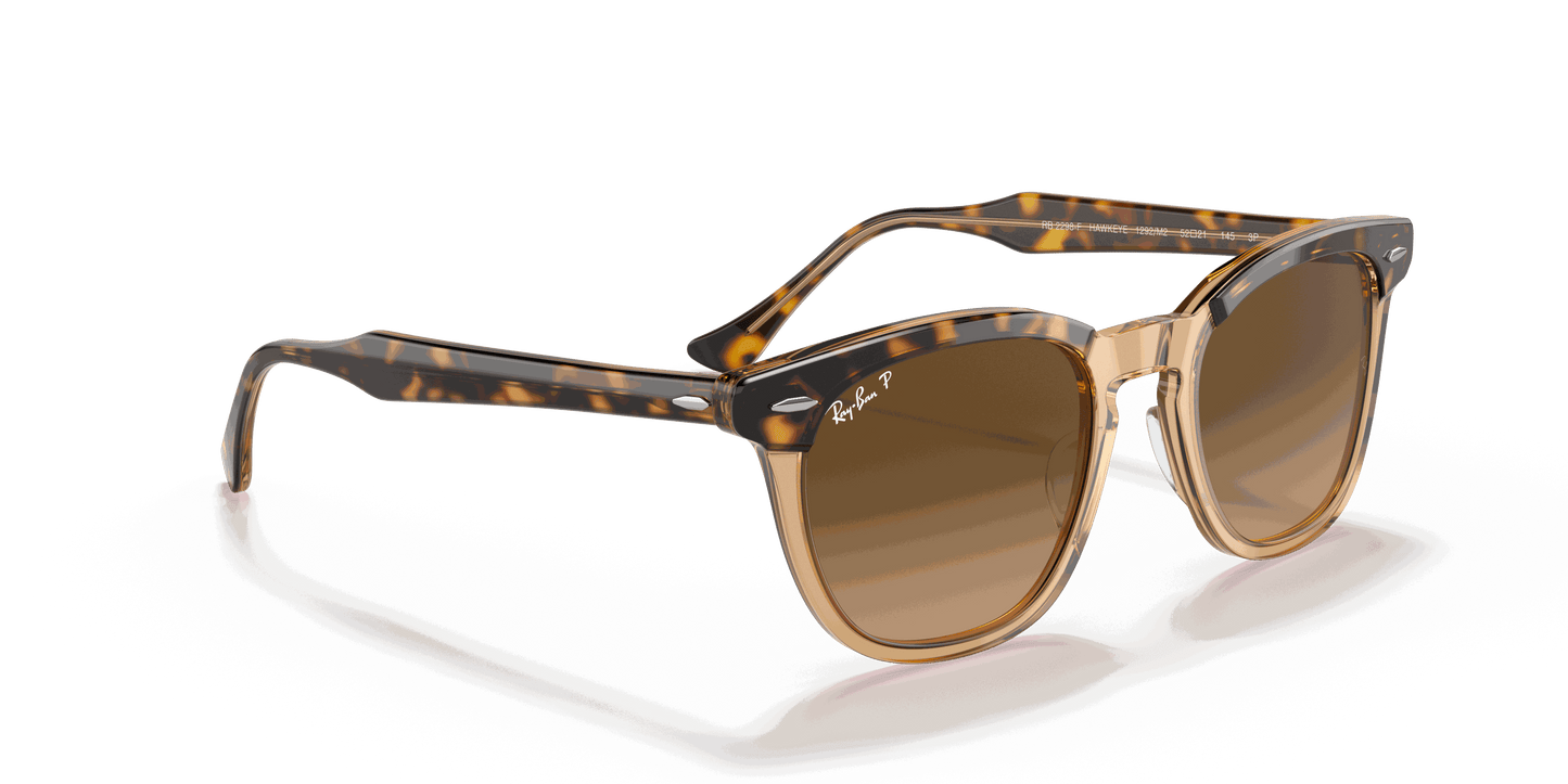 [Brown Gradient Polar Lenses, Polished Havana On Transparent Brown Frame]