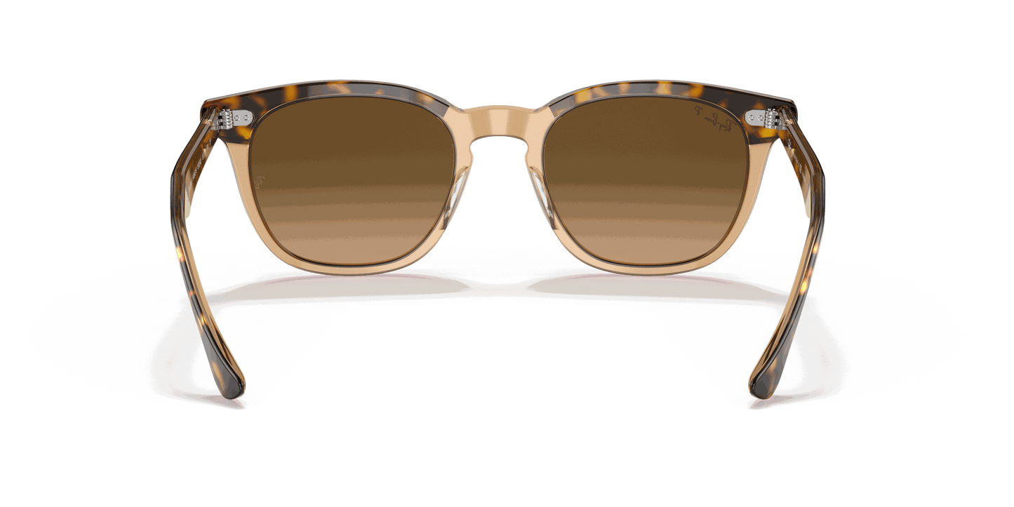 [Brown Gradient Polar Lenses, Polished Havana On Transparent Brown Frame]
