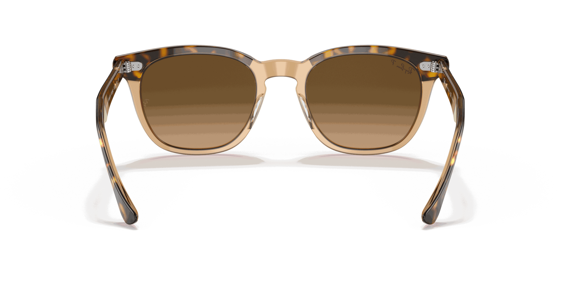 [Brown Gradient Polar Lenses, Polished Havana On Transparent Brown Frame]