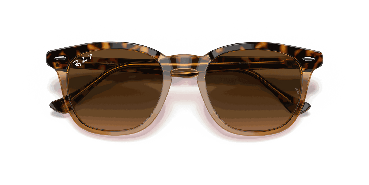 [Brown Gradient Polar Lenses, Polished Havana On Transparent Brown Frame]