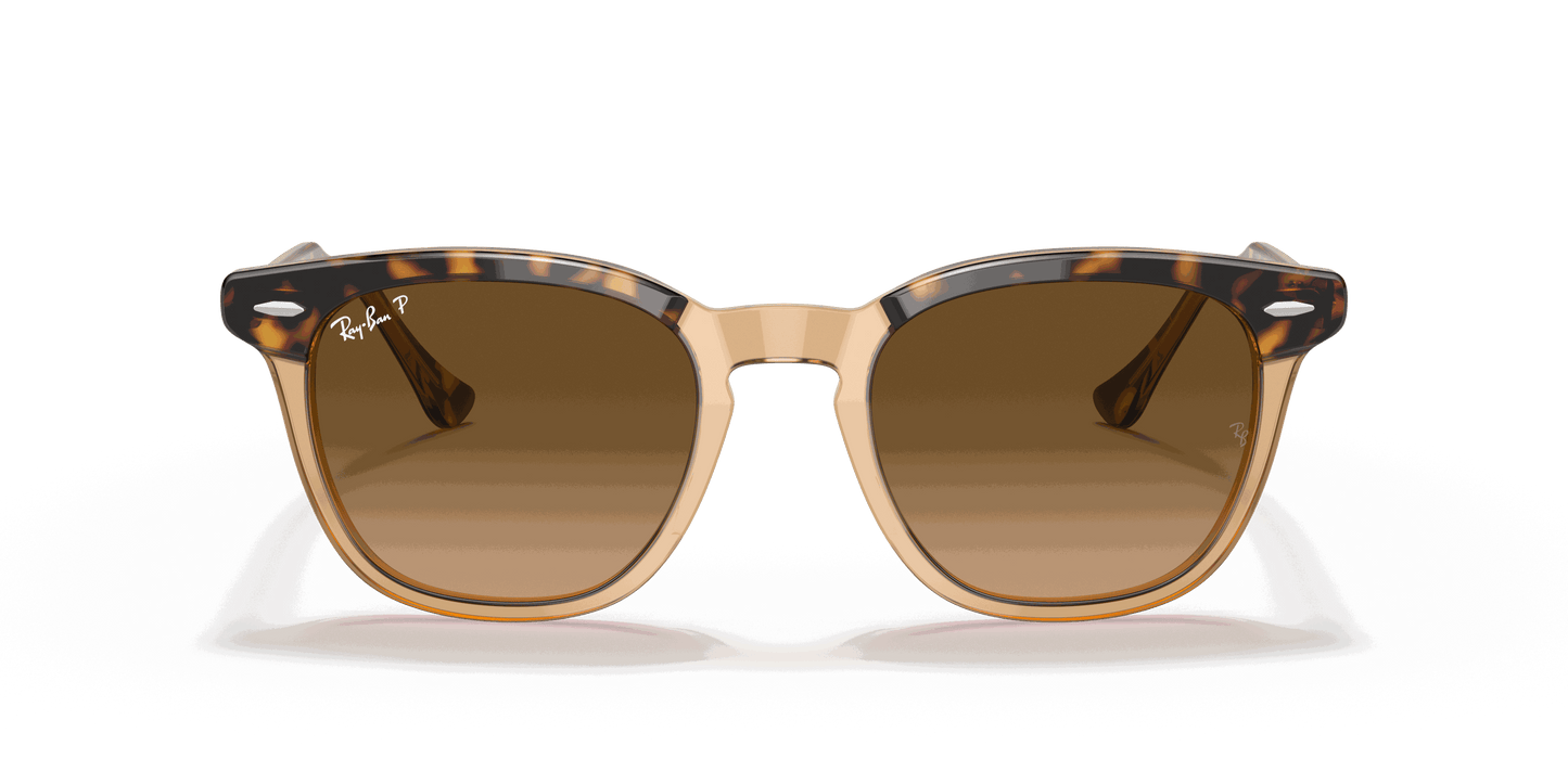 [Brown Gradient Polar Lenses, Polished Havana On Transparent Brown Frame]