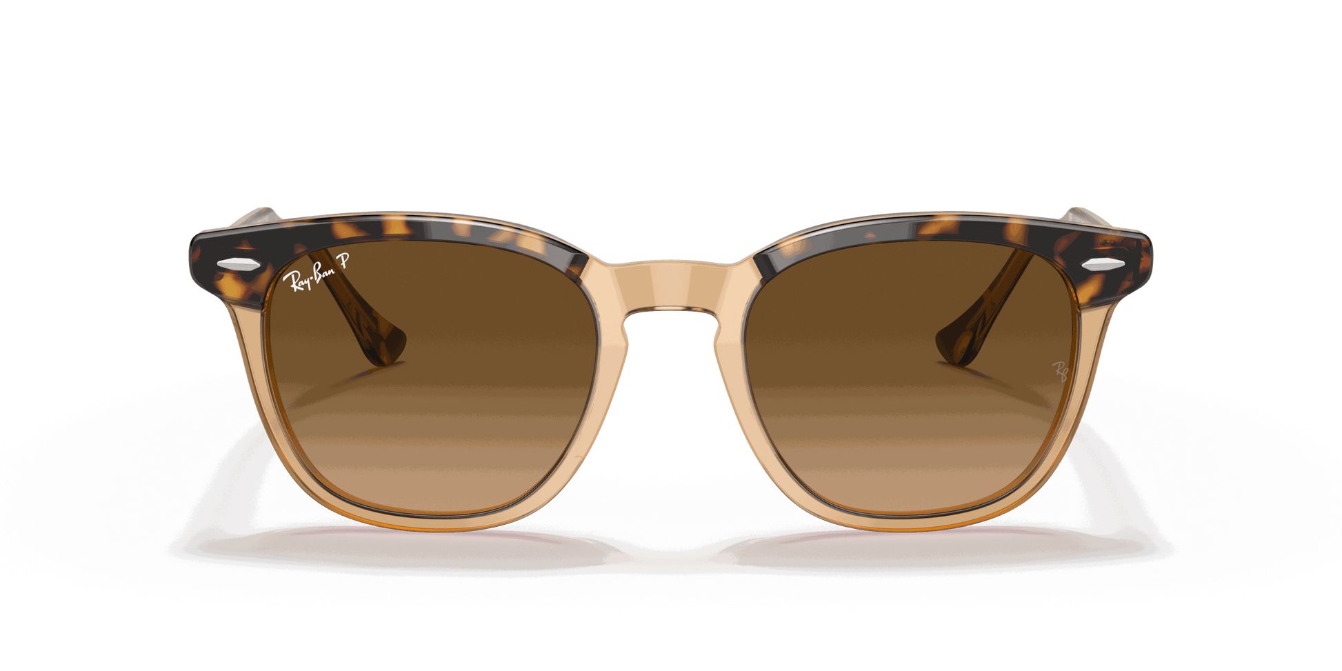[Brown Gradient Polar Lenses, Polished Havana On Transparent Brown Frame]