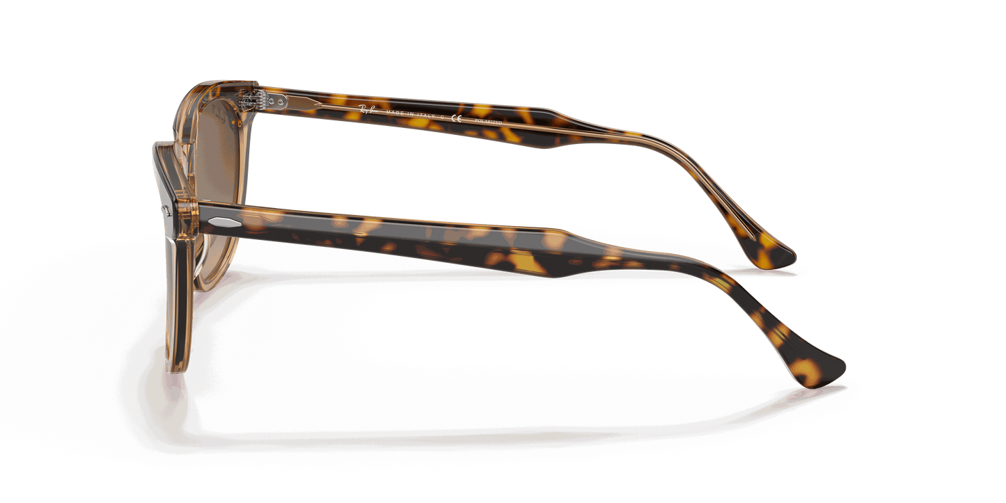 [Brown Gradient Polar Lenses, Polished Havana On Transparent Brown Frame]