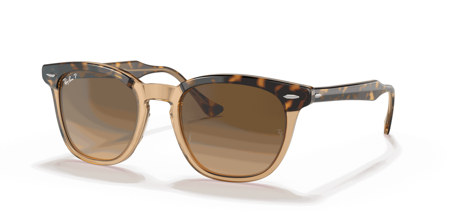 [Brown Gradient Polar Lenses, Polished Havana On Transparent Brown Frame]