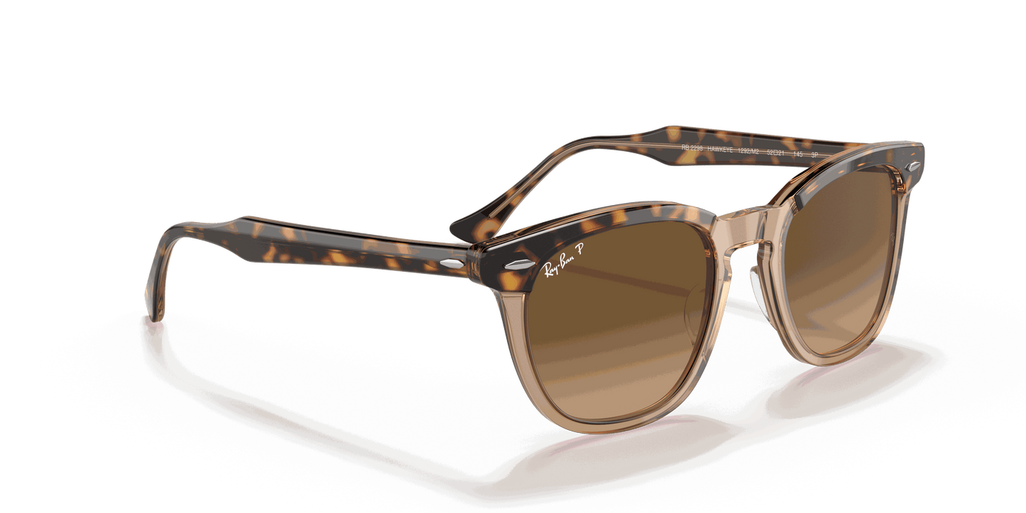 [Brown Lenses, Polished Havana On Transparent Brown Frame]