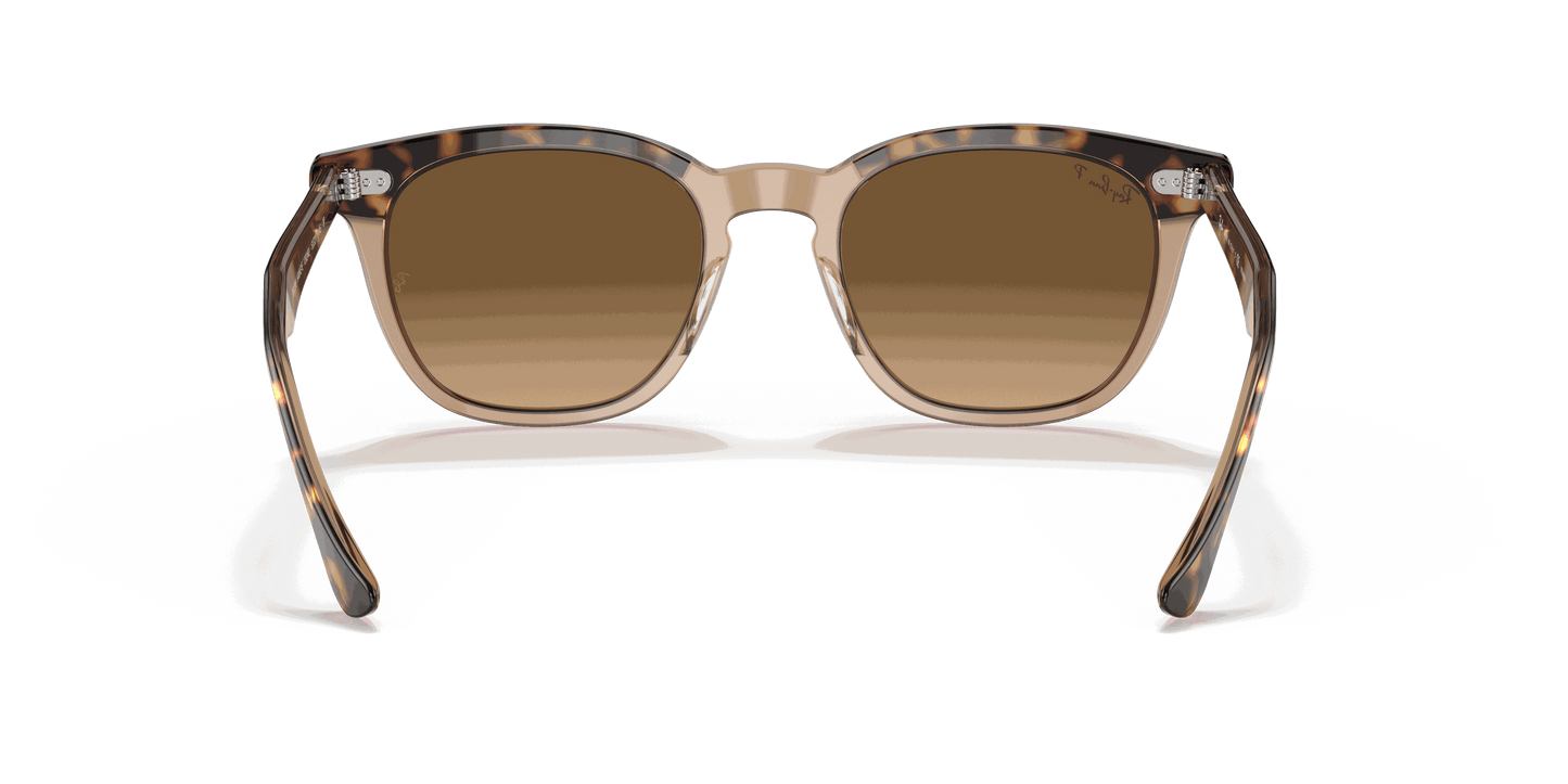 [Brown Lenses, Polished Havana On Transparent Brown Frame]