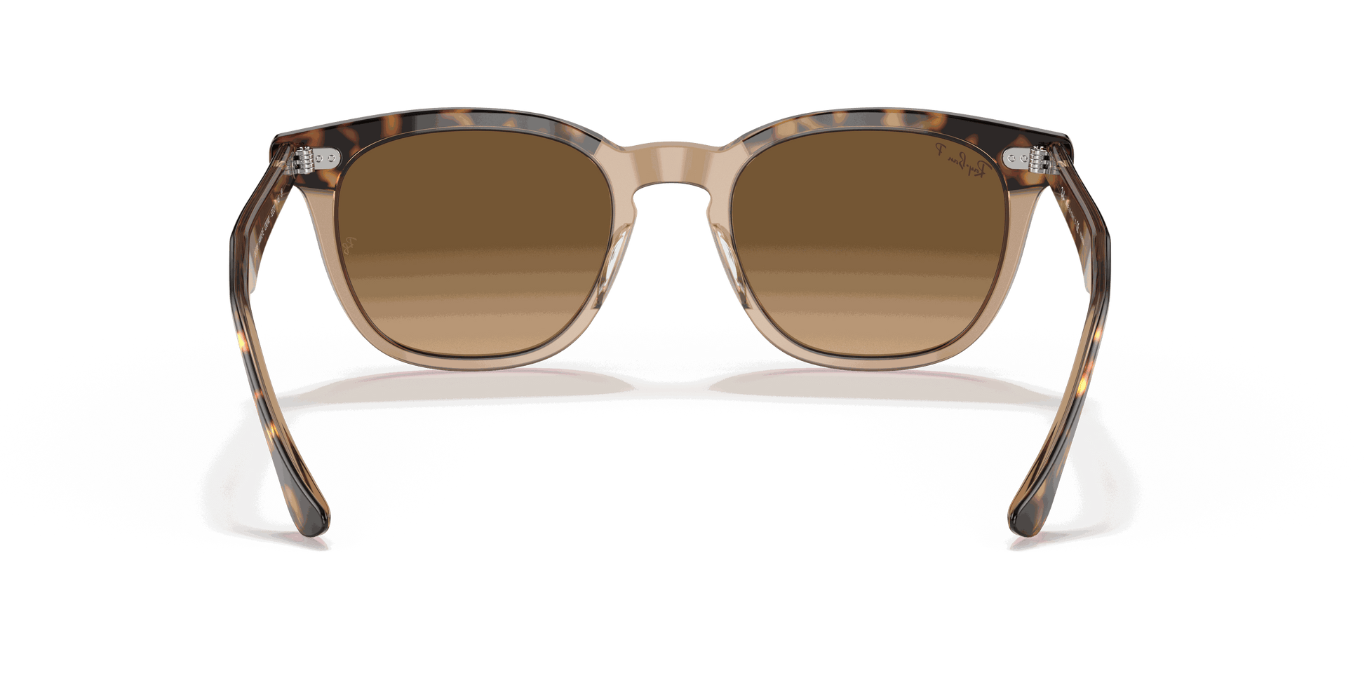 [Brown Lenses, Polished Havana On Transparent Brown Frame]