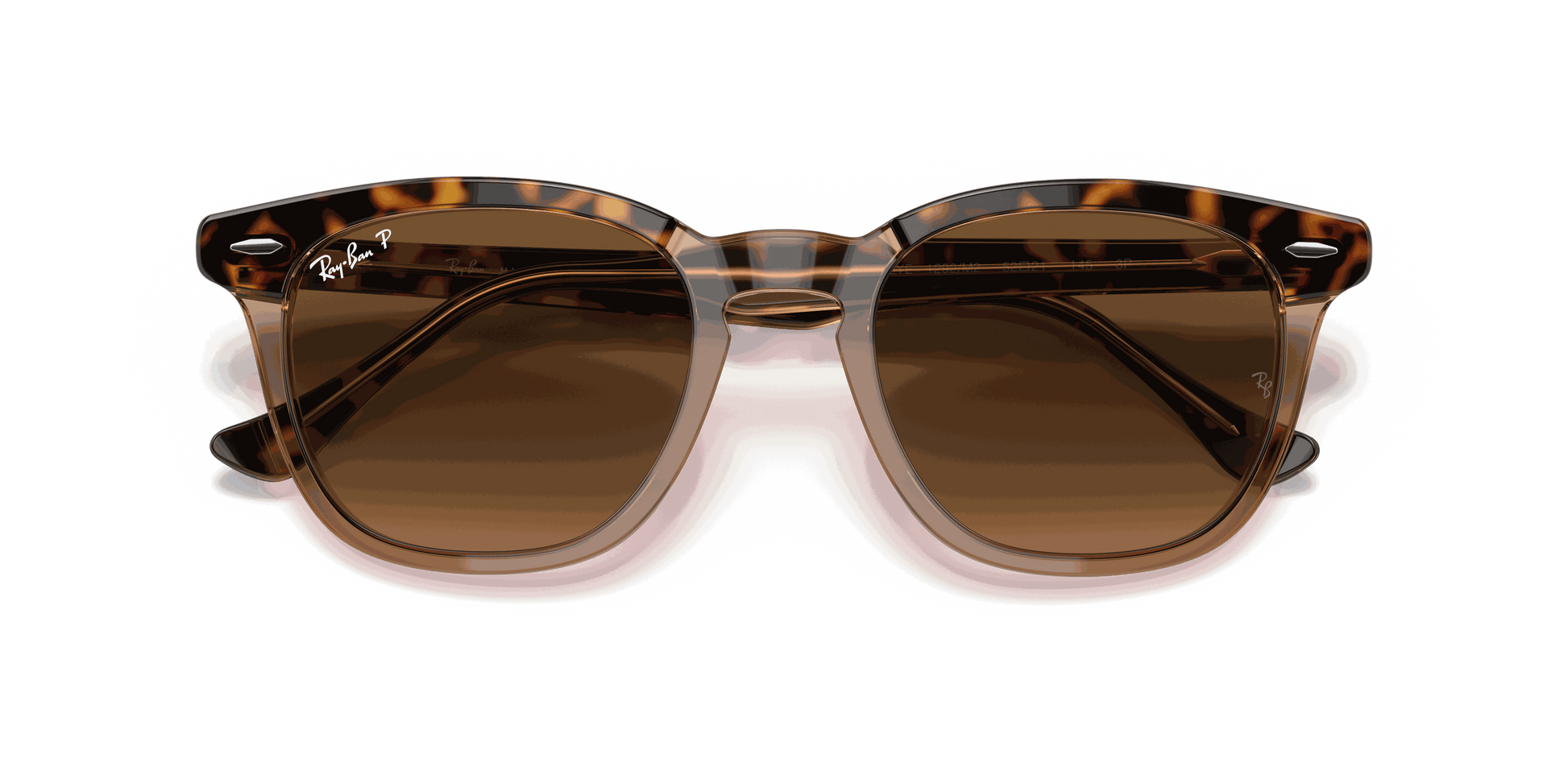 [Brown Lenses, Polished Havana On Transparent Brown Frame]