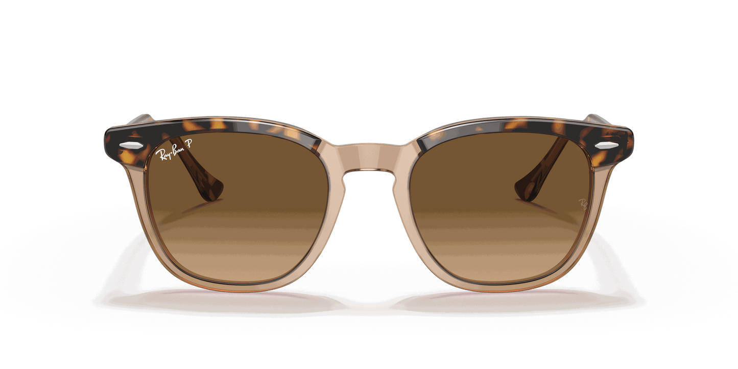 [Brown Lenses, Polished Havana On Transparent Brown Frame]