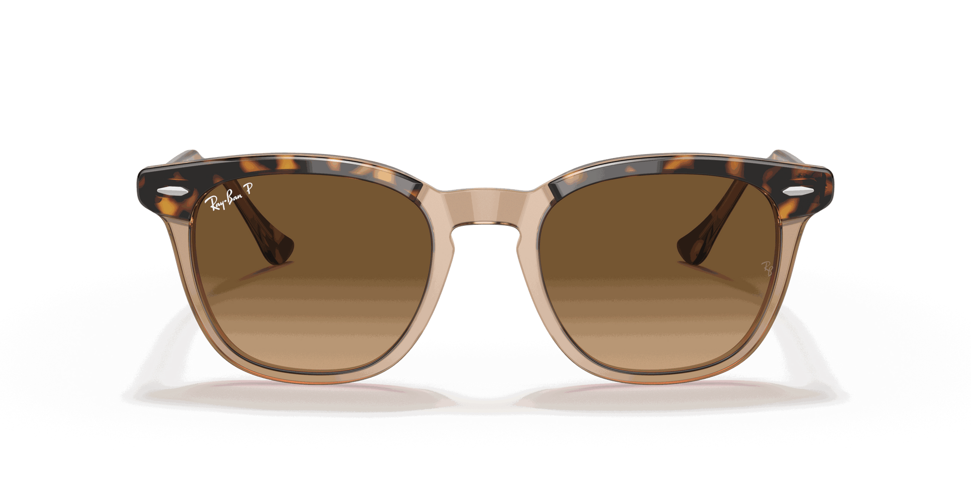 [Brown Lenses, Polished Havana On Transparent Brown Frame]