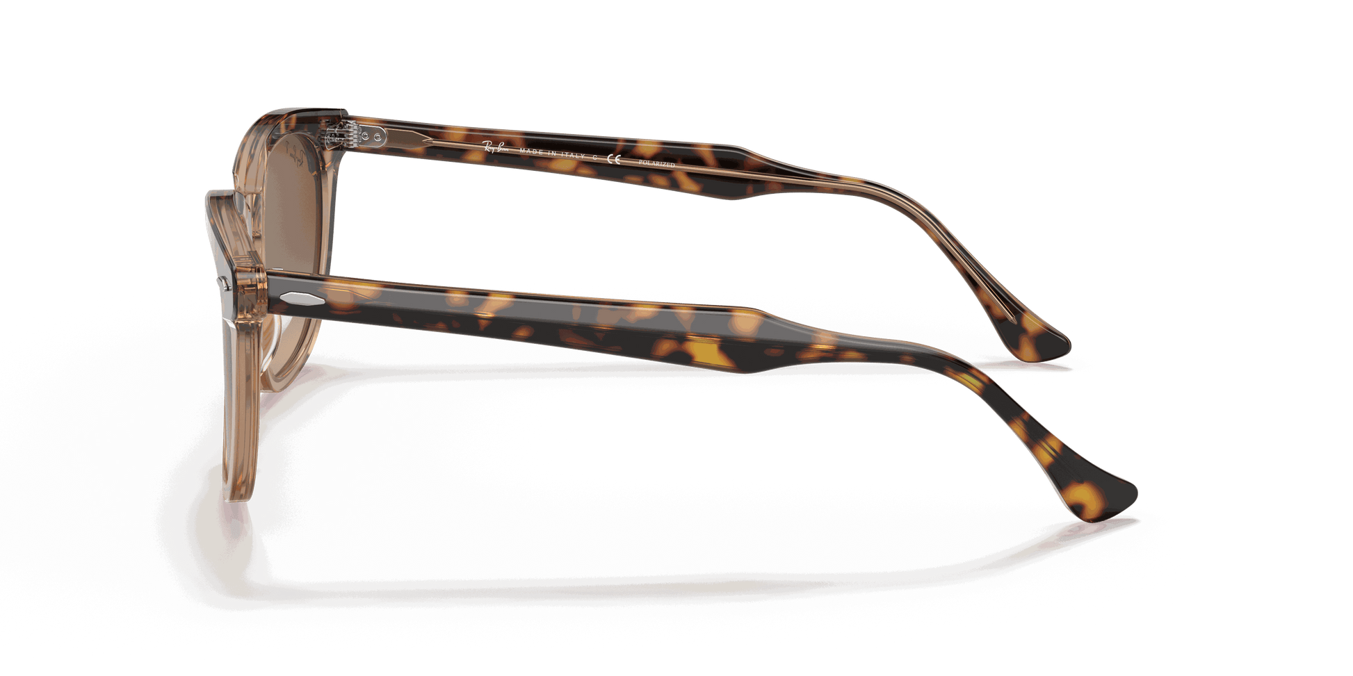 [Brown Lenses, Polished Havana On Transparent Brown Frame]