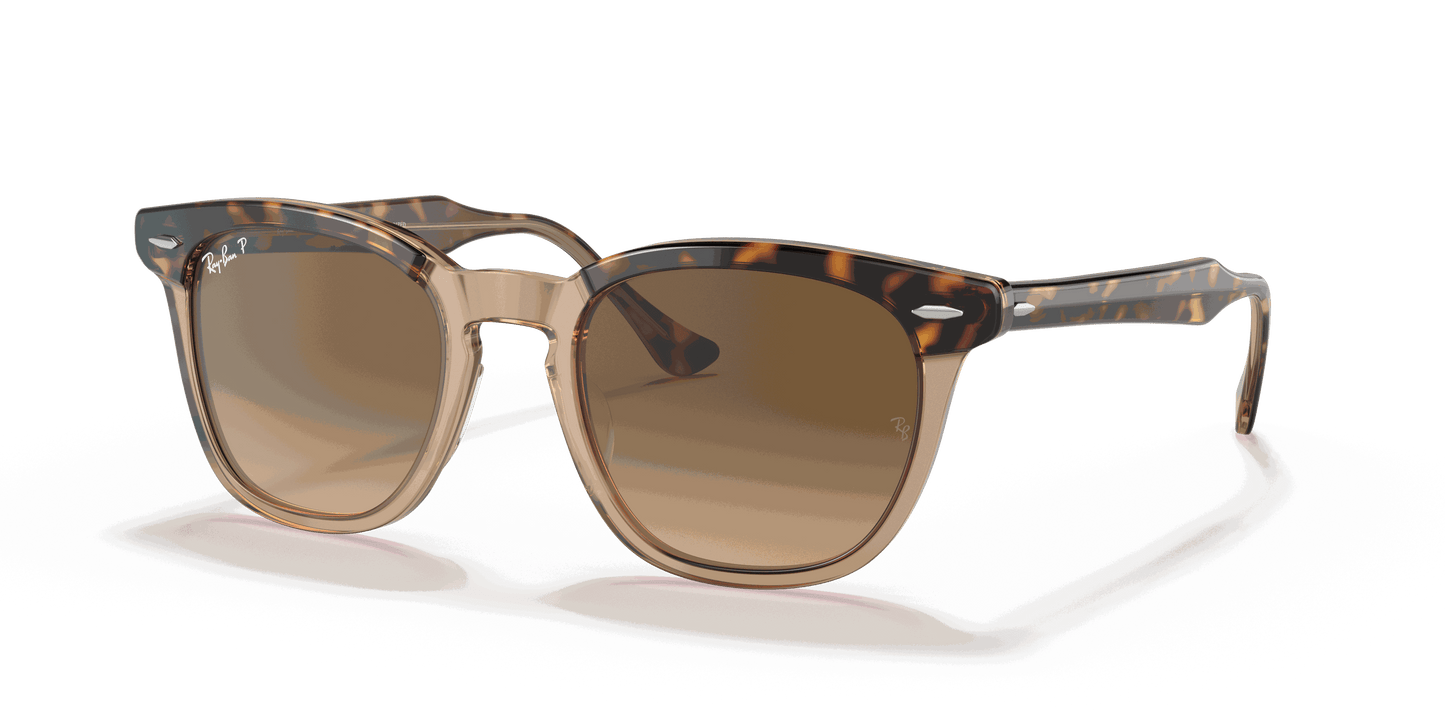 [Brown Lenses, Polished Havana On Transparent Brown Frame]