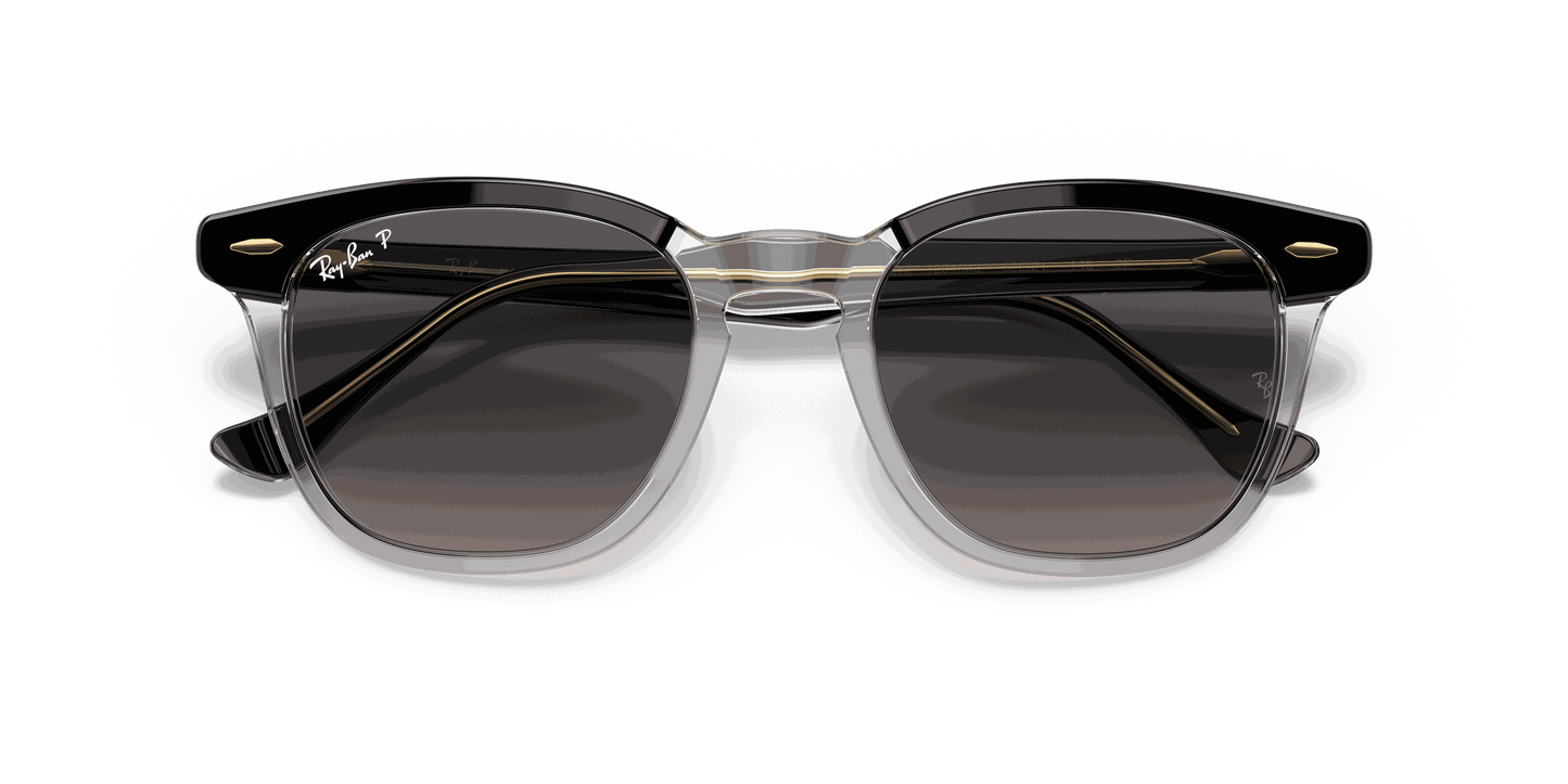 [Grey Lenses, Polished Black On Transparent Frame]