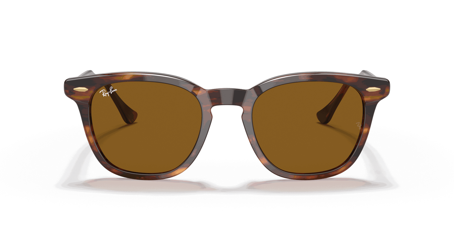 [Brown Lenses, Polished Striped Havana Frame]