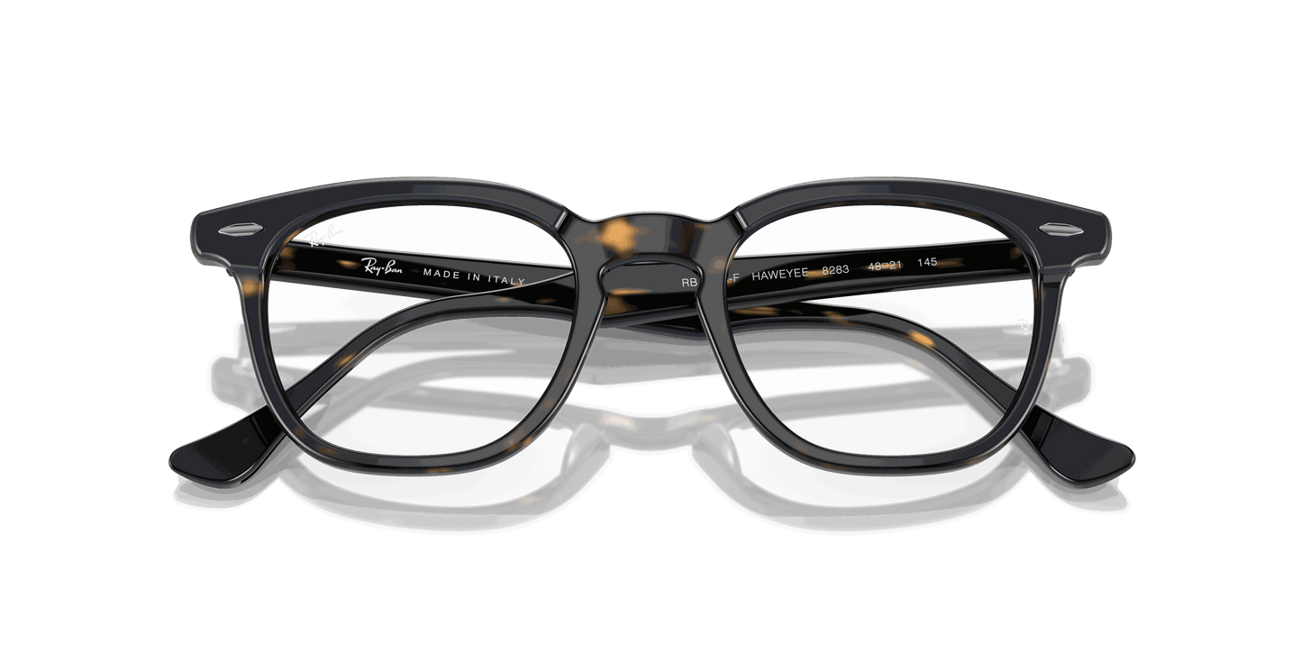 [Clear Lenses, Polished Blue On Havana Frame]