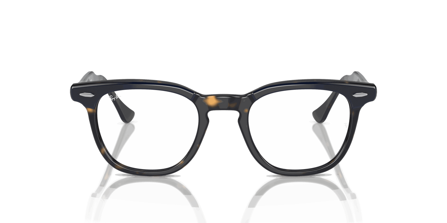 [Clear Lenses, Polished Blue On Havana Frame]