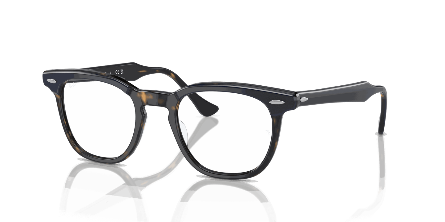 [Clear Lenses, Polished Blue On Havana Frame]